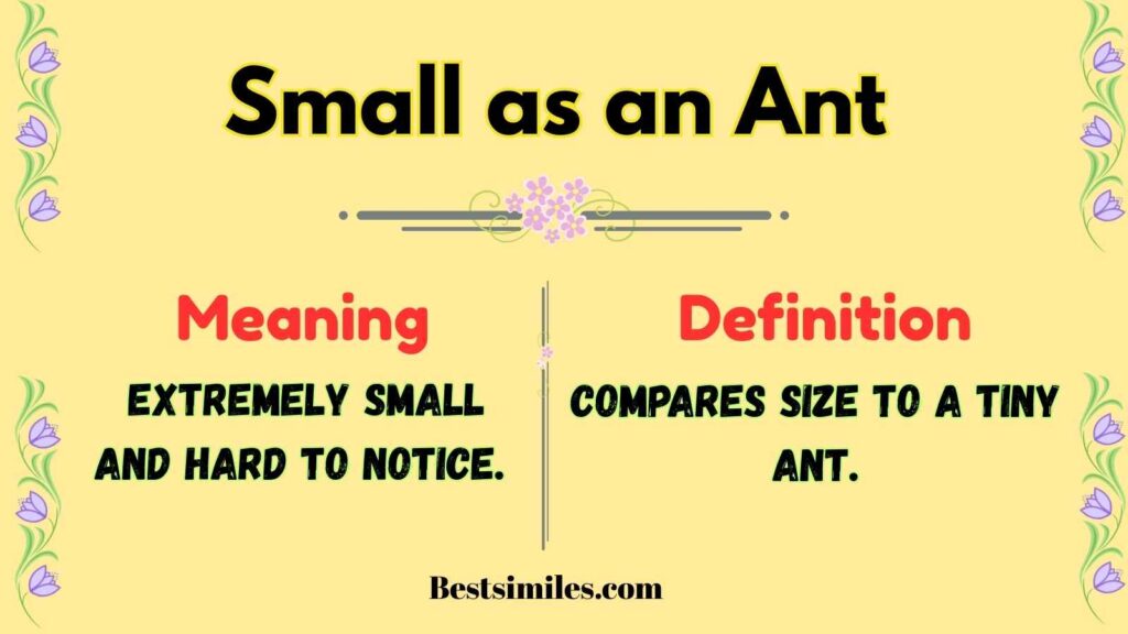 Small as an Ant