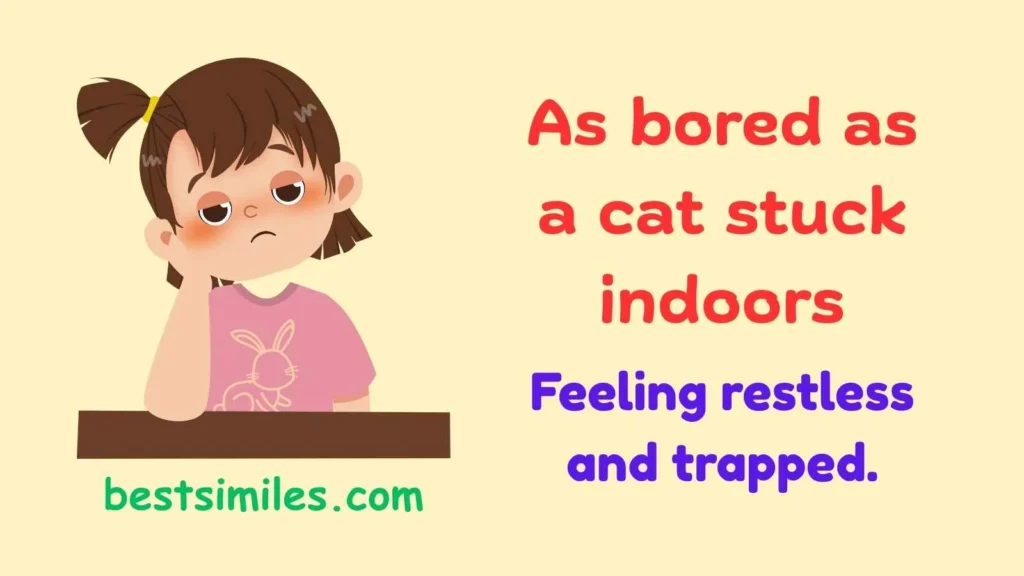 As bored as a cat stuck indoors