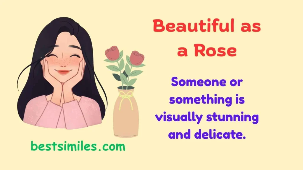 Beautiful as a rose