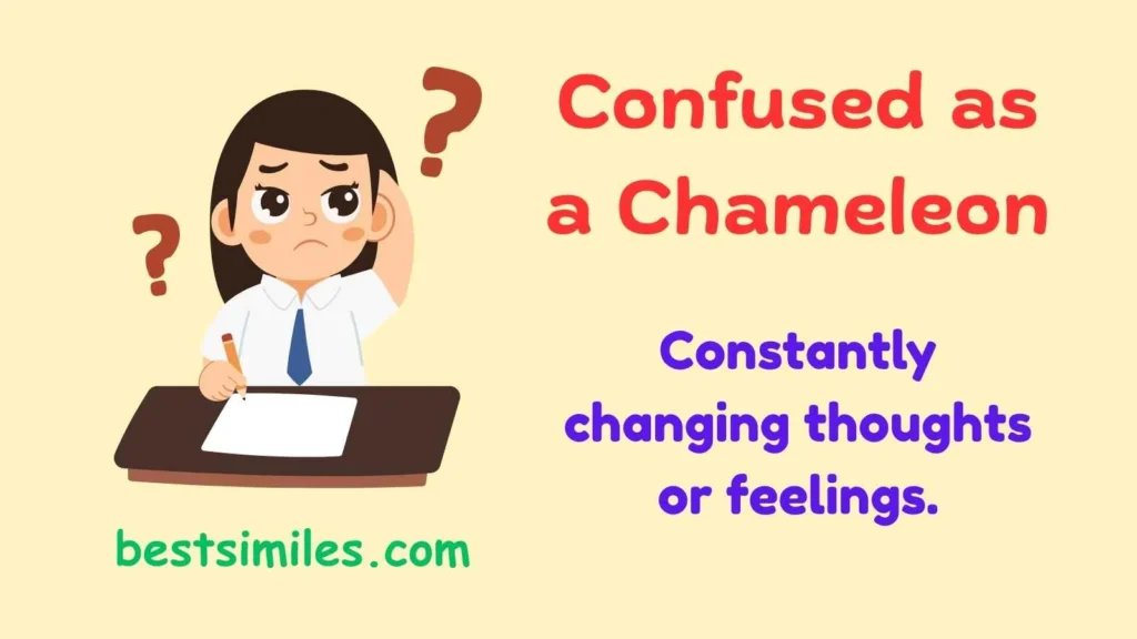 Confused as a chameleon