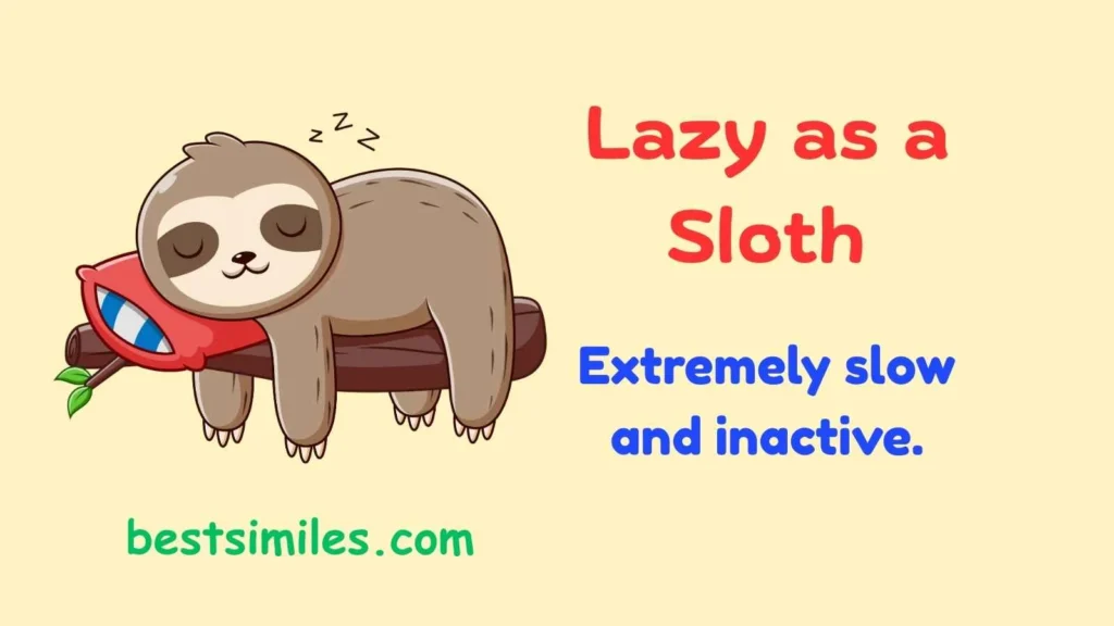 Lazy as a sloth