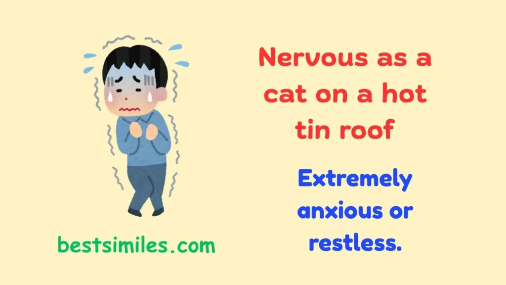 Nervous as a cat on a hot tin roof