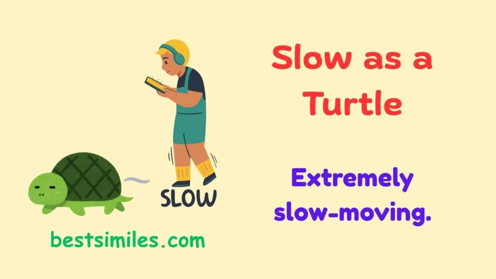 Slow as a turtle