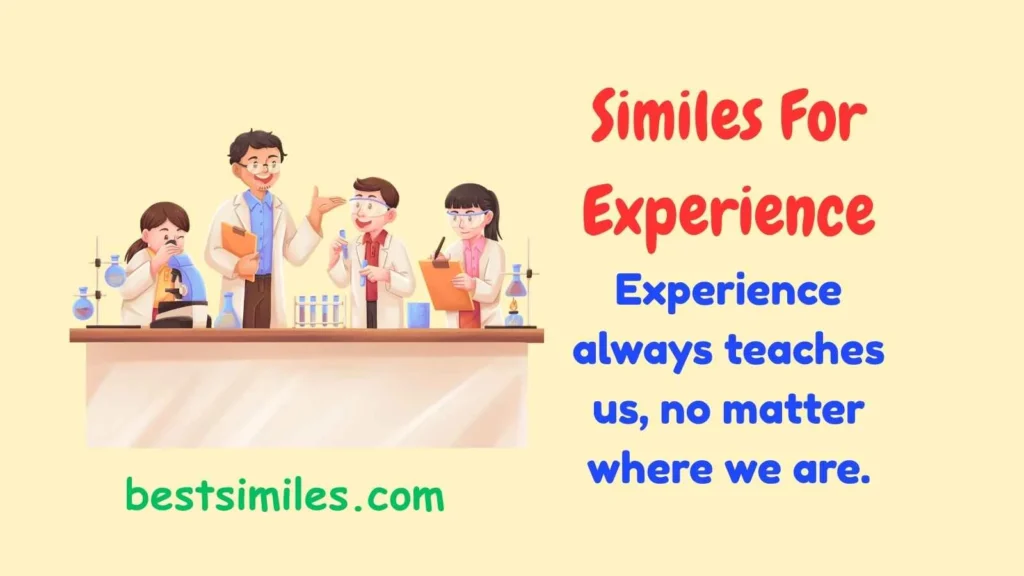 Similes For Experience