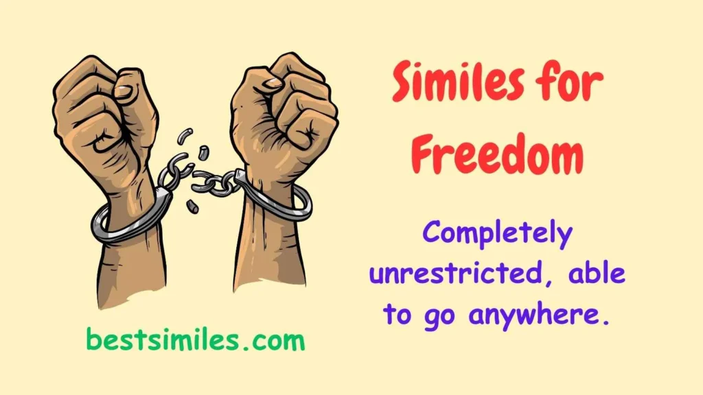 similes for freedom