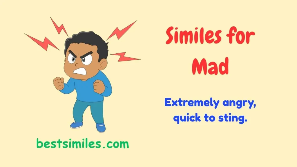 similes for mad