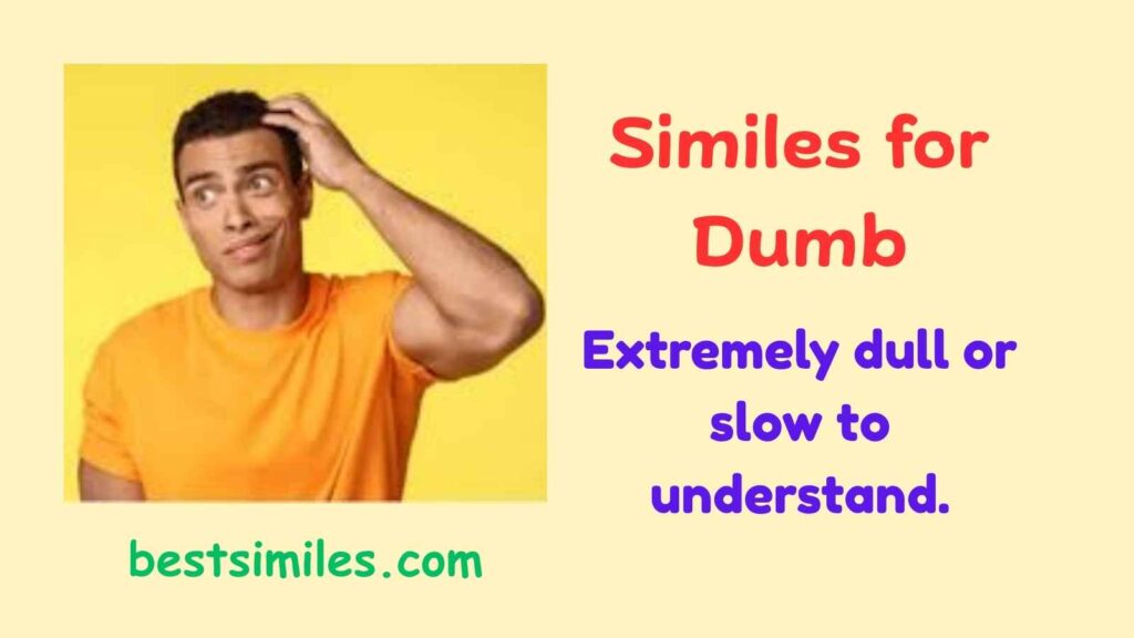 similes for dumb