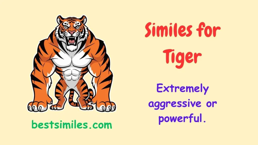 similes for tiger
