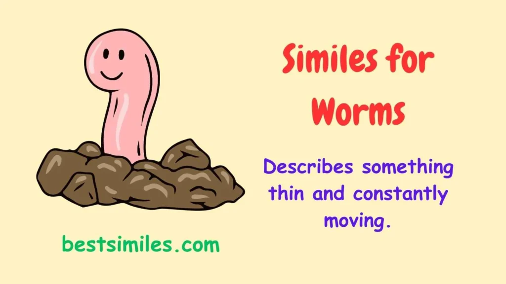 Similes for Worms