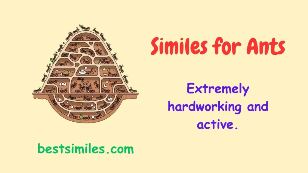 Similes for Ants