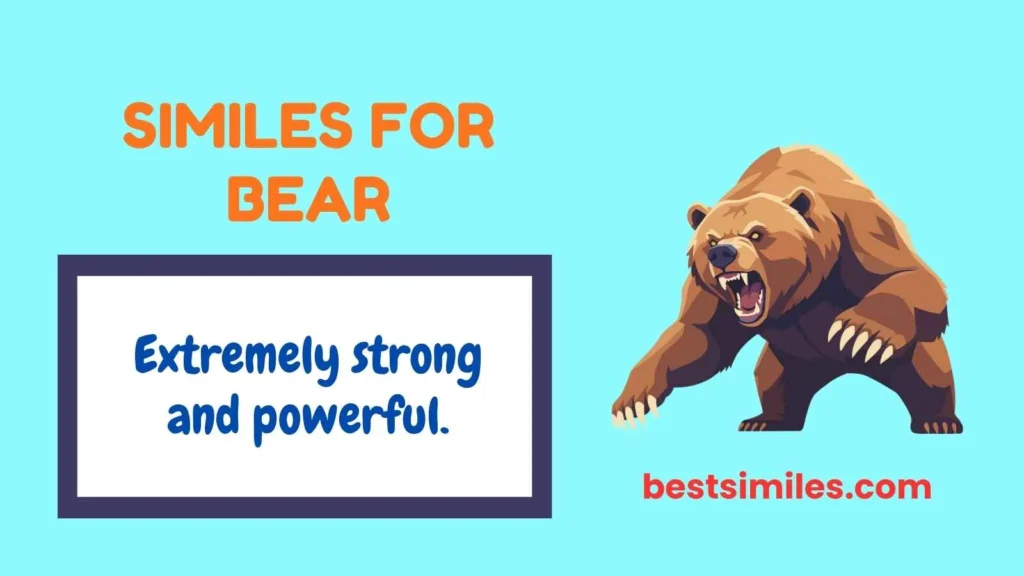 Similes for Bear