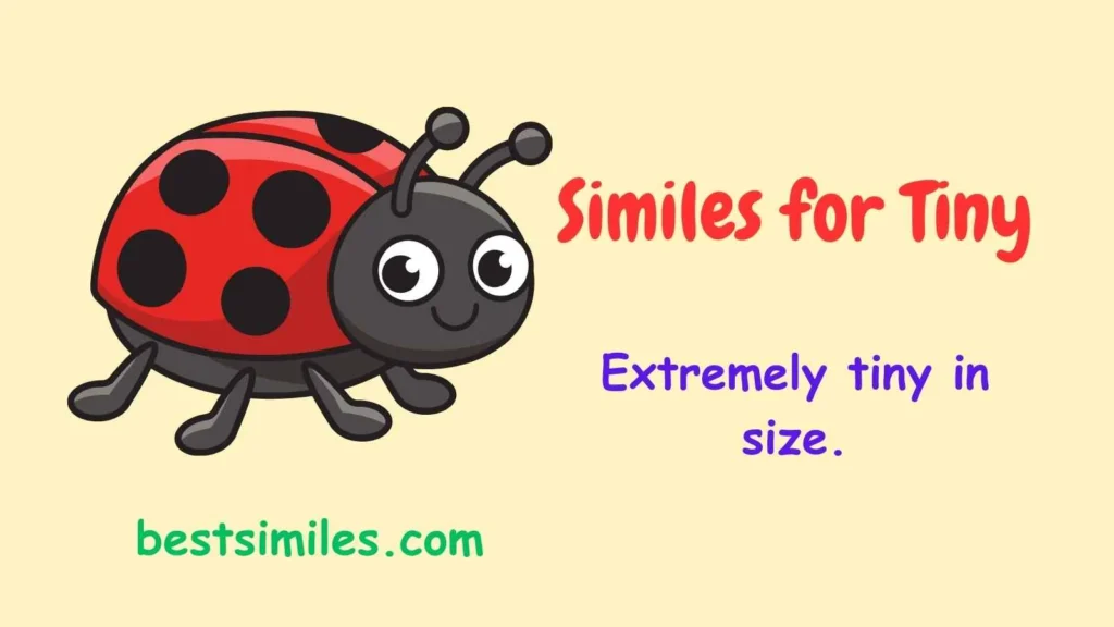 Similes for Tiny