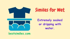 Similes for Wet