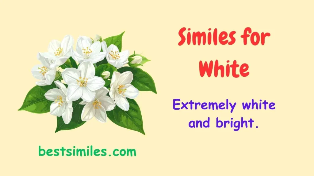 Similes for White