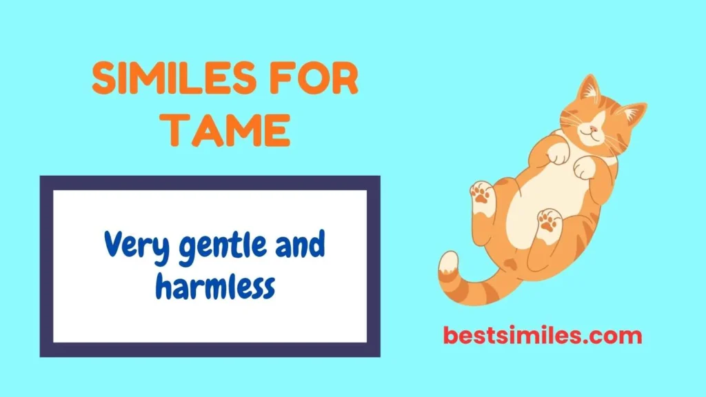 Similes for Tame
