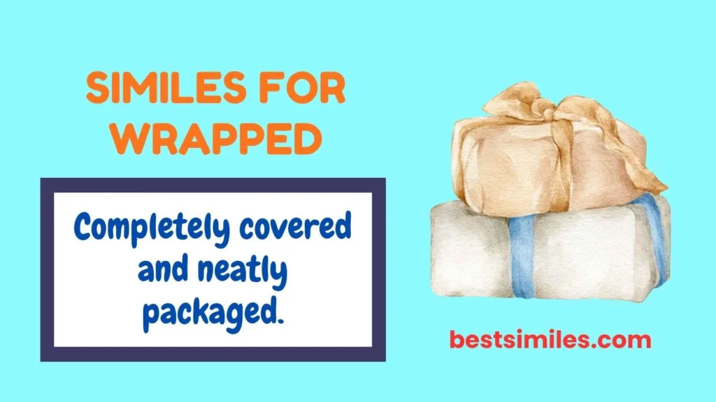 Similes for Wrapped