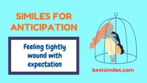 Similes for Anticipation