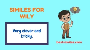Similes for Wily