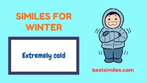 Similes for Winter
