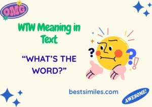 WTW Meaning in Text