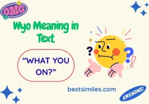 Wyo Meaning in Text