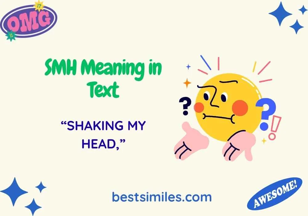 SMH Meaning in Text
