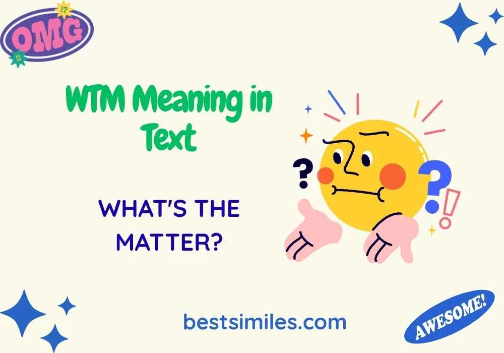 WTM Meaning in Text