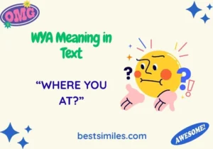 WYA Meaning in Text