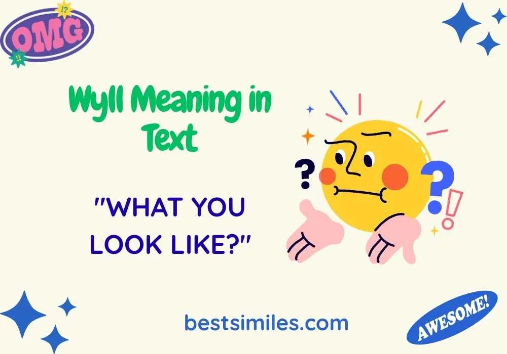 Wyll Meaning in Text