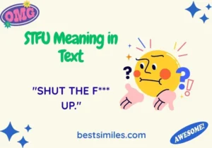 STFU Meaning in Text